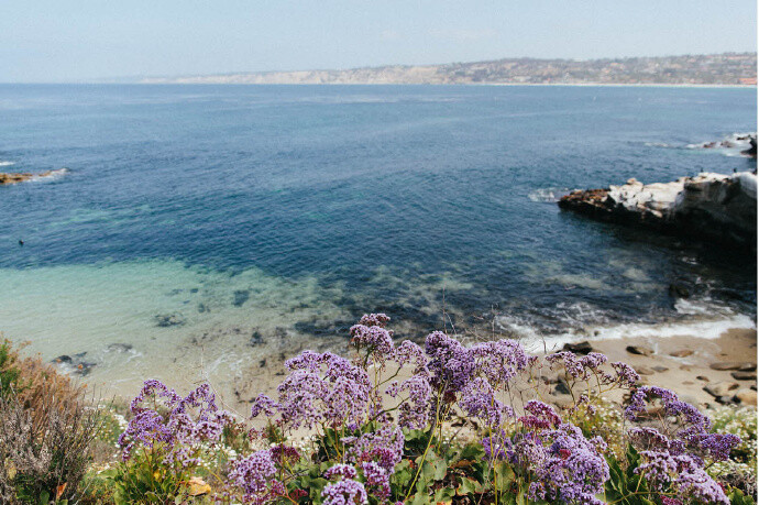 LA JOLLA COVE 拉荷亚。受海浪冲刷，这里形成了天然洞穴，独特的自然风光，吸引了世界各地的艺术家来此找寻灵感