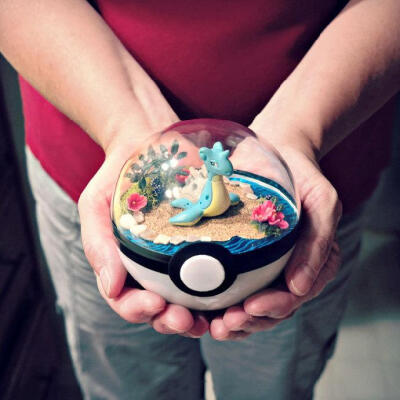 Pokeball Terrariums. 宠物小精灵盆栽