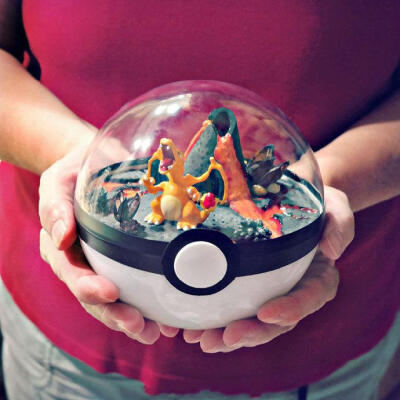 Pokeball Terrariums. 宠物小精灵盆栽