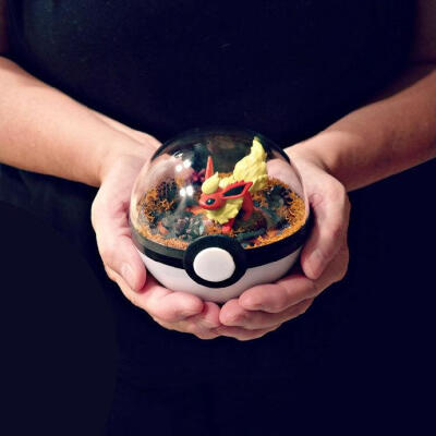 Pokeball Terrariums. 宠物小精灵盆栽