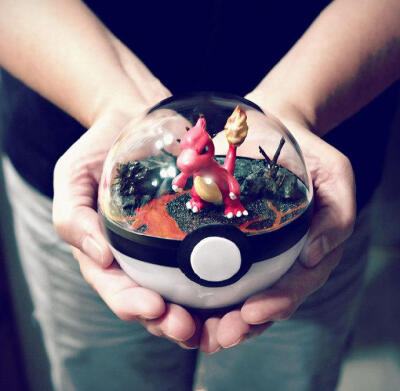 Pokeball Terrariums. 宠物小精灵盆栽