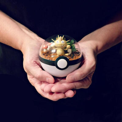 Pokeball Terrariums. 宠物小精灵盆栽