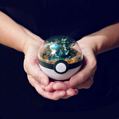 Pokeball Terrariums. 宠物小精灵盆栽