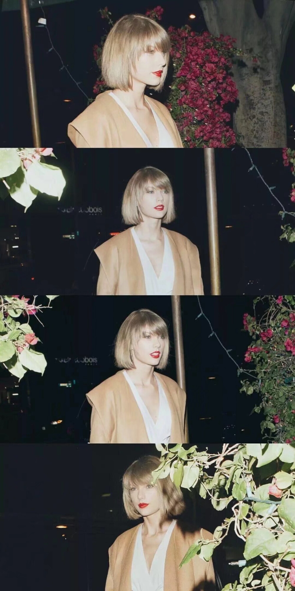 Taylor Swift
来源网络收集