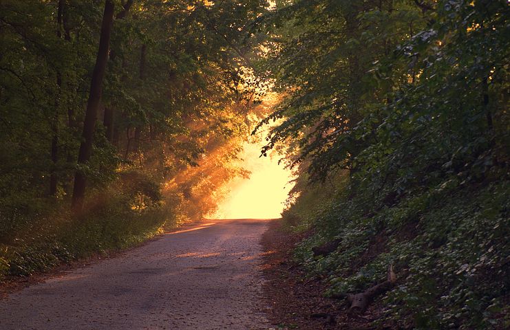 风景
图片来自网络