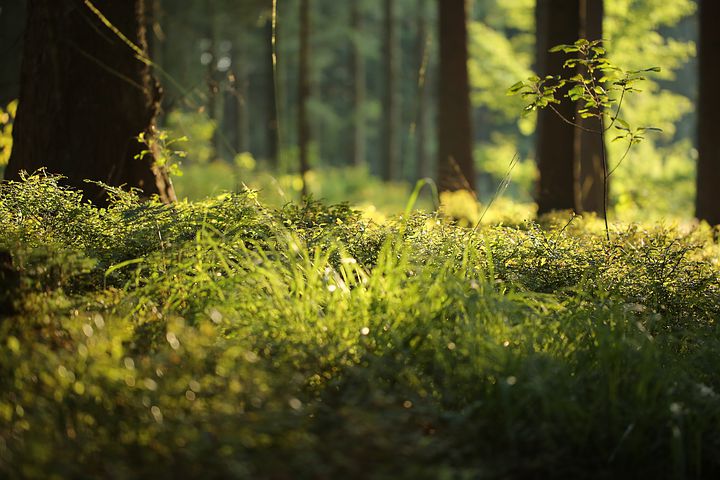 风景
图片来自网络