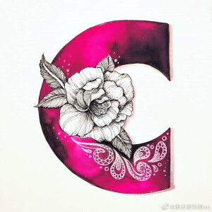 花与英文字母的结合 出处未知