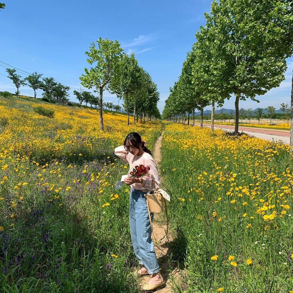 绿野及仙踪
长夏盛极时♡