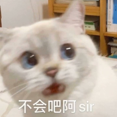 猫猫表情包
抖音发现的小可爱