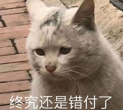 憨批沙雕表情包