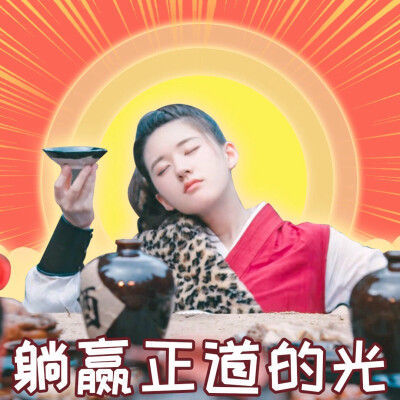 做一个平平无奇的好运少女
赵露思表情包，水泥退散