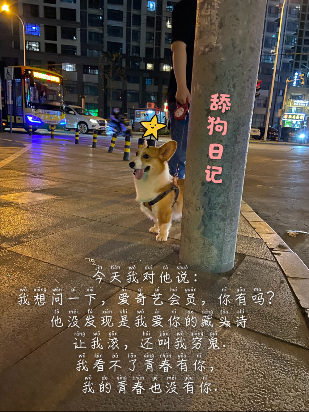 我的狗噗