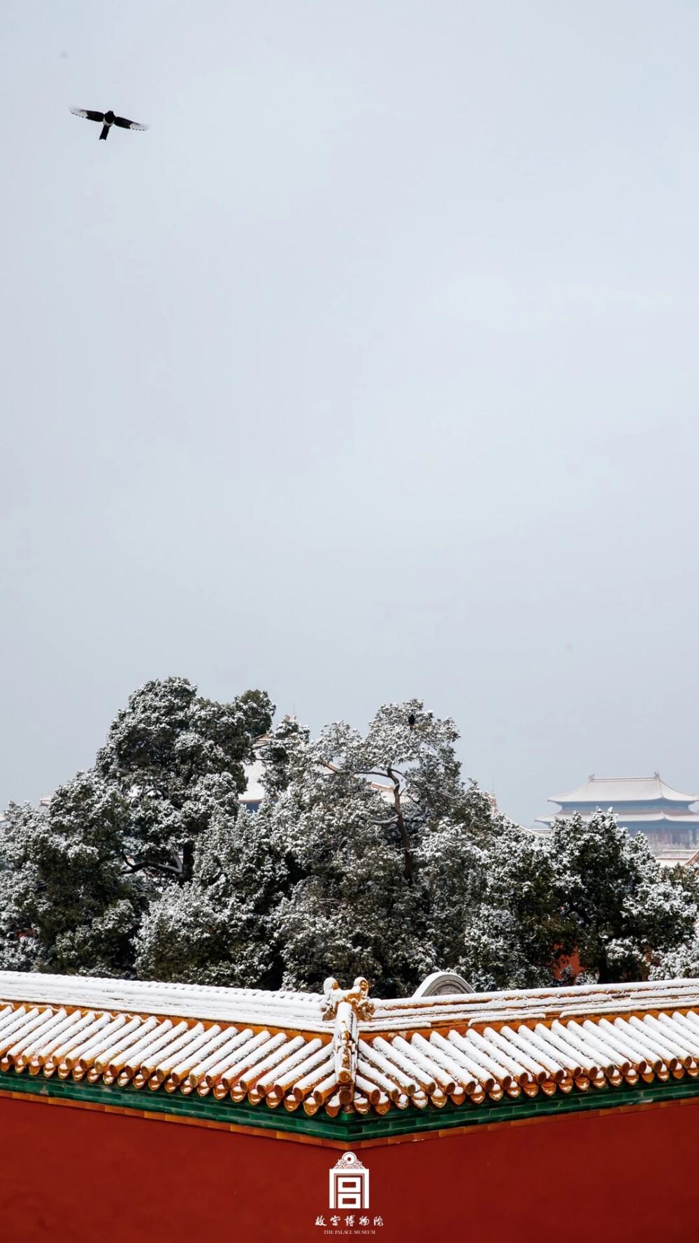 红墙白雪