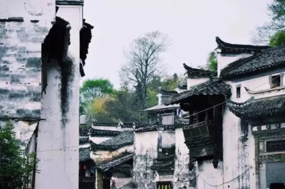 庭院