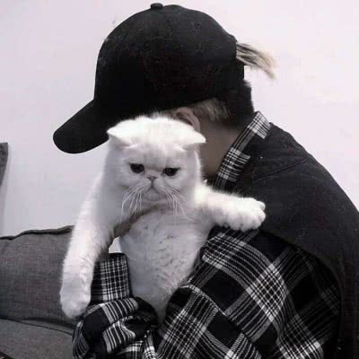 抱猫男头