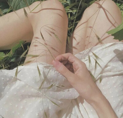不知全貌