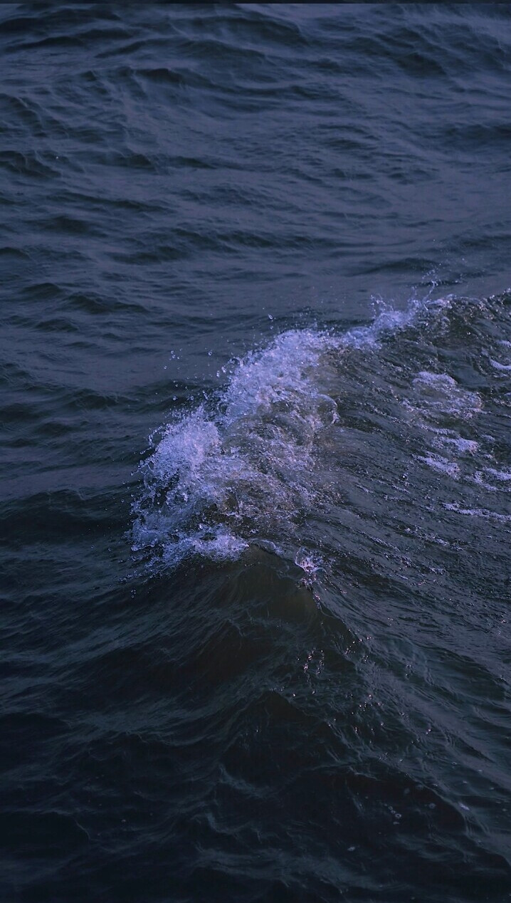 图源于网络
侵权删