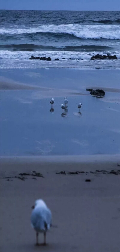 蓝色壁纸〈大海〉
图源于网络
侵权删
也可做聊天背景图