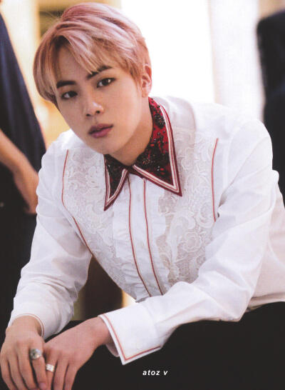 Jin 김석진 金硕珍