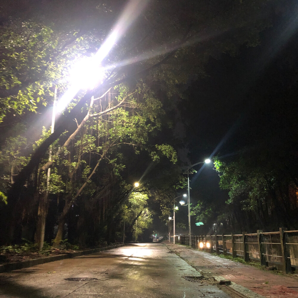 雨后 像是大学校园