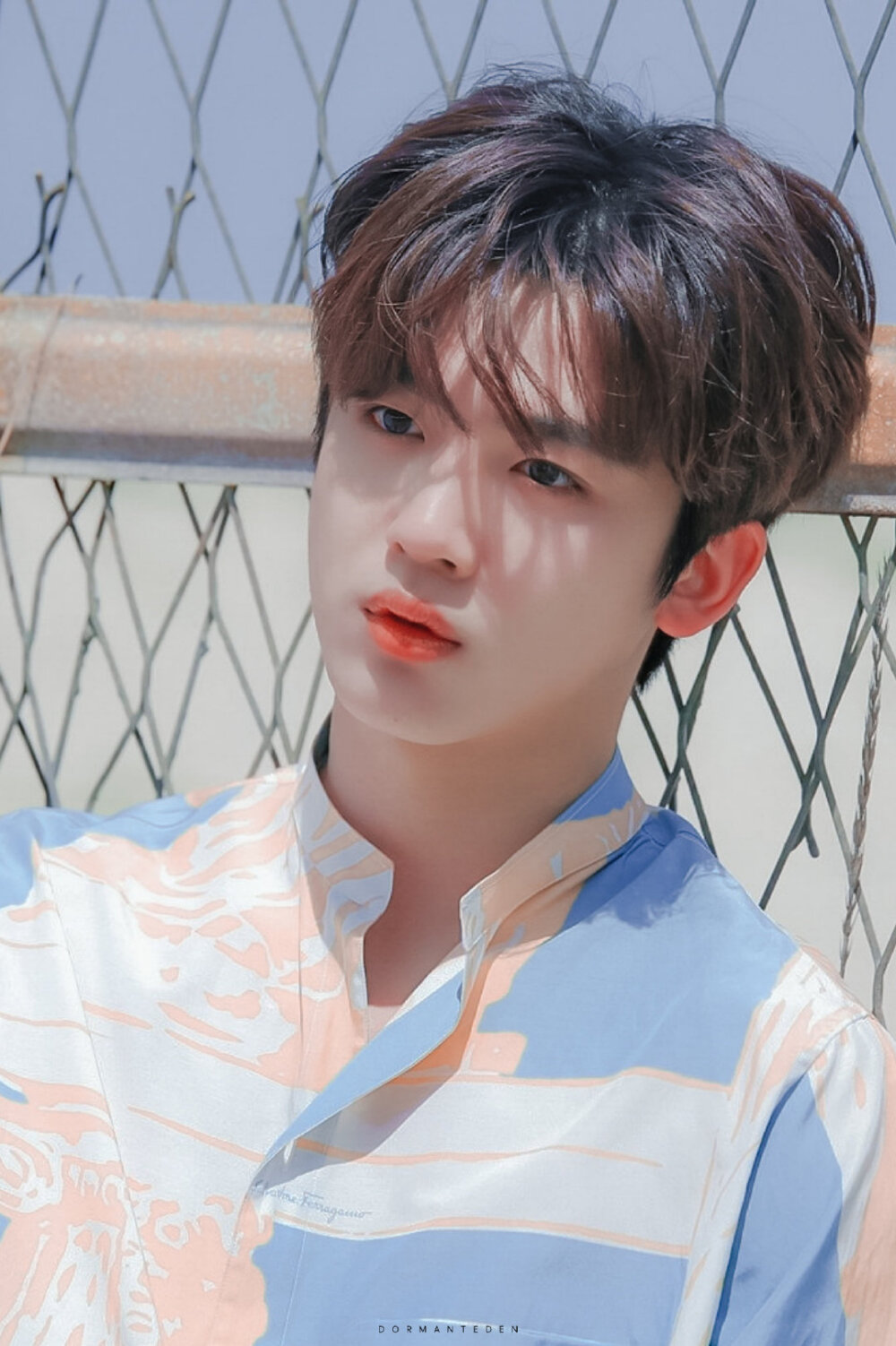 金曜汉
©DormantEden