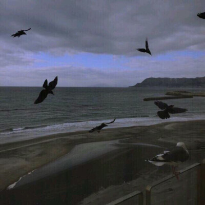 黑色背景壁纸