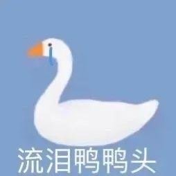 大白鹅表情包
❤