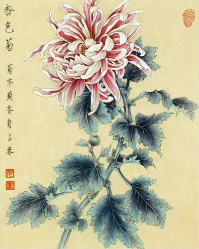 工笔花鸟