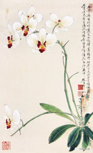 工笔花鸟