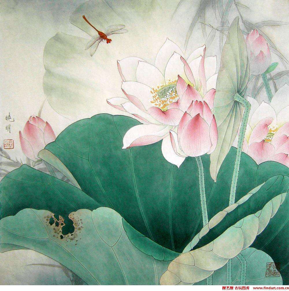 工笔花鸟