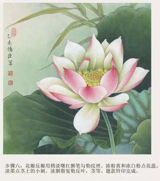 工笔花鸟