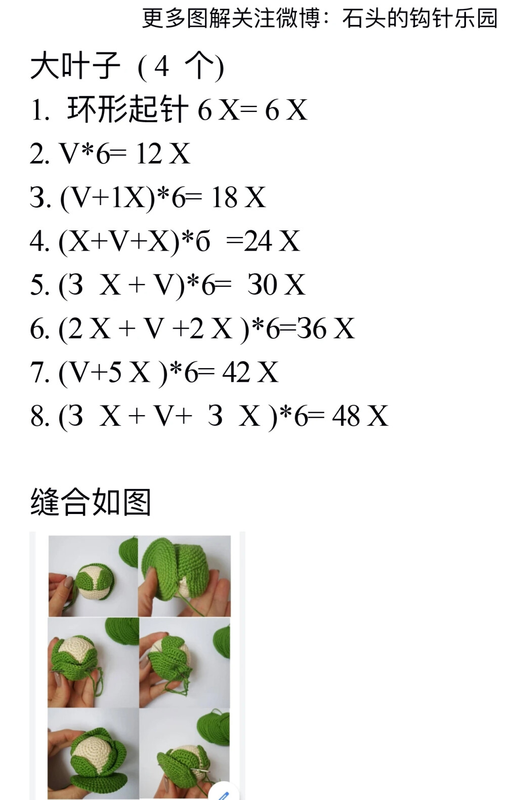 卷心菜