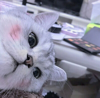 猛女头像。