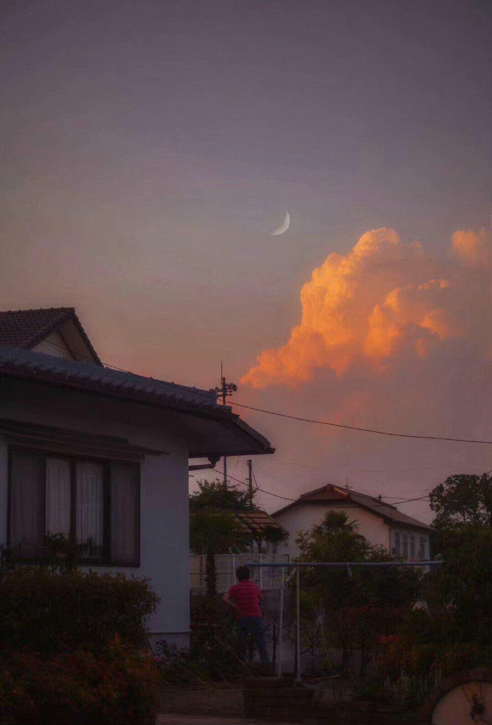 安全感 思猫