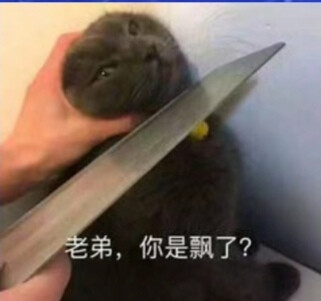 猫咪