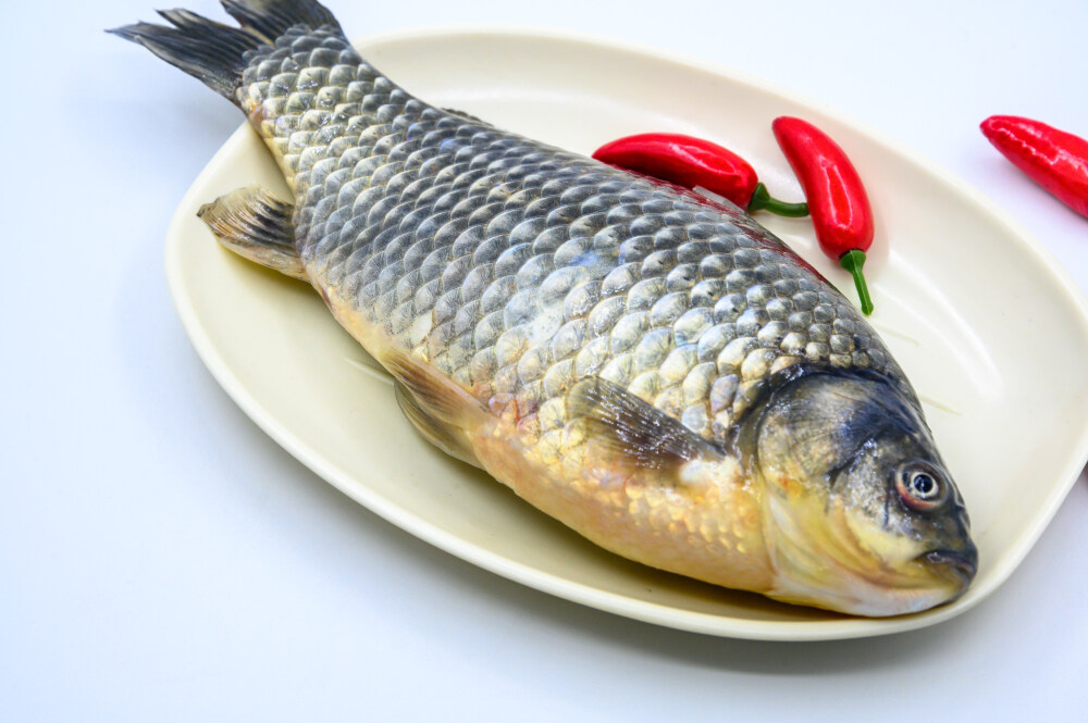 鲫鱼 生物 水生生物 水产品 海产品 鱼类 海鲜 狗杠鱼 推浪鱼 沙逛鱼 地龙鱼 天浪鱼 光鱼 海鱼 新鲜 动物 海洋动物 室内 食材 食物 待加工 烹饪 野生鱼 捕捞 特写 黑色背景 容器 简单背景 白瓷盘 瓷器 整条鱼 饮食 营养丰富 中国 葱 大葱 蒜 大蒜 辣椒 红色 辛辣 佐料 调料
