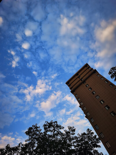 朝霞 天空 漂亮的云