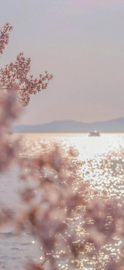 壁纸｜ 出现在别人的世界里要像一份礼物
公众号：莫拾
每日分享壁纸、头像、背景图、文案，分享温柔美好，期待与你相遇～