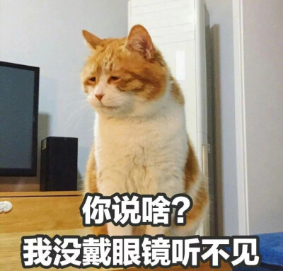 表情包