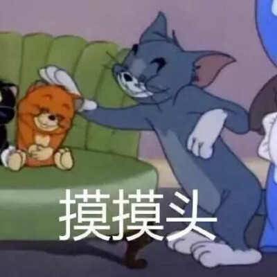 猫和老鼠表情包