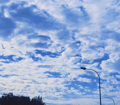 今日份天空