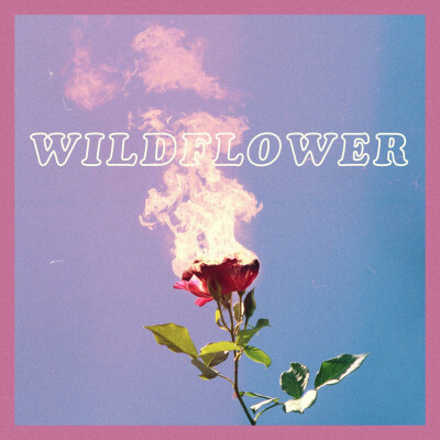 专辑：Wildflower