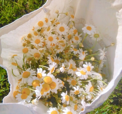 文字，云，花。