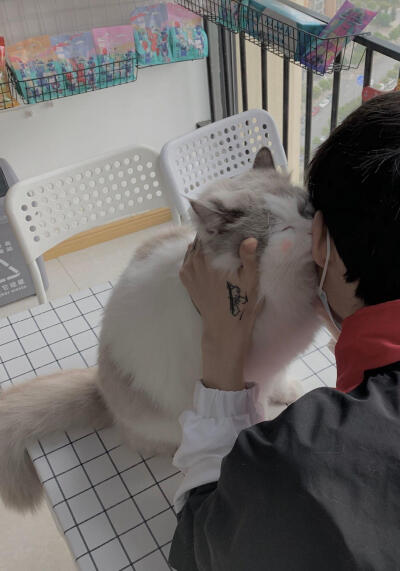 江辰的梦幻城堡♡