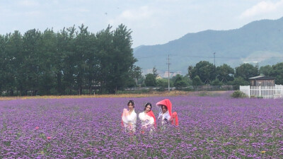 荻浦花海