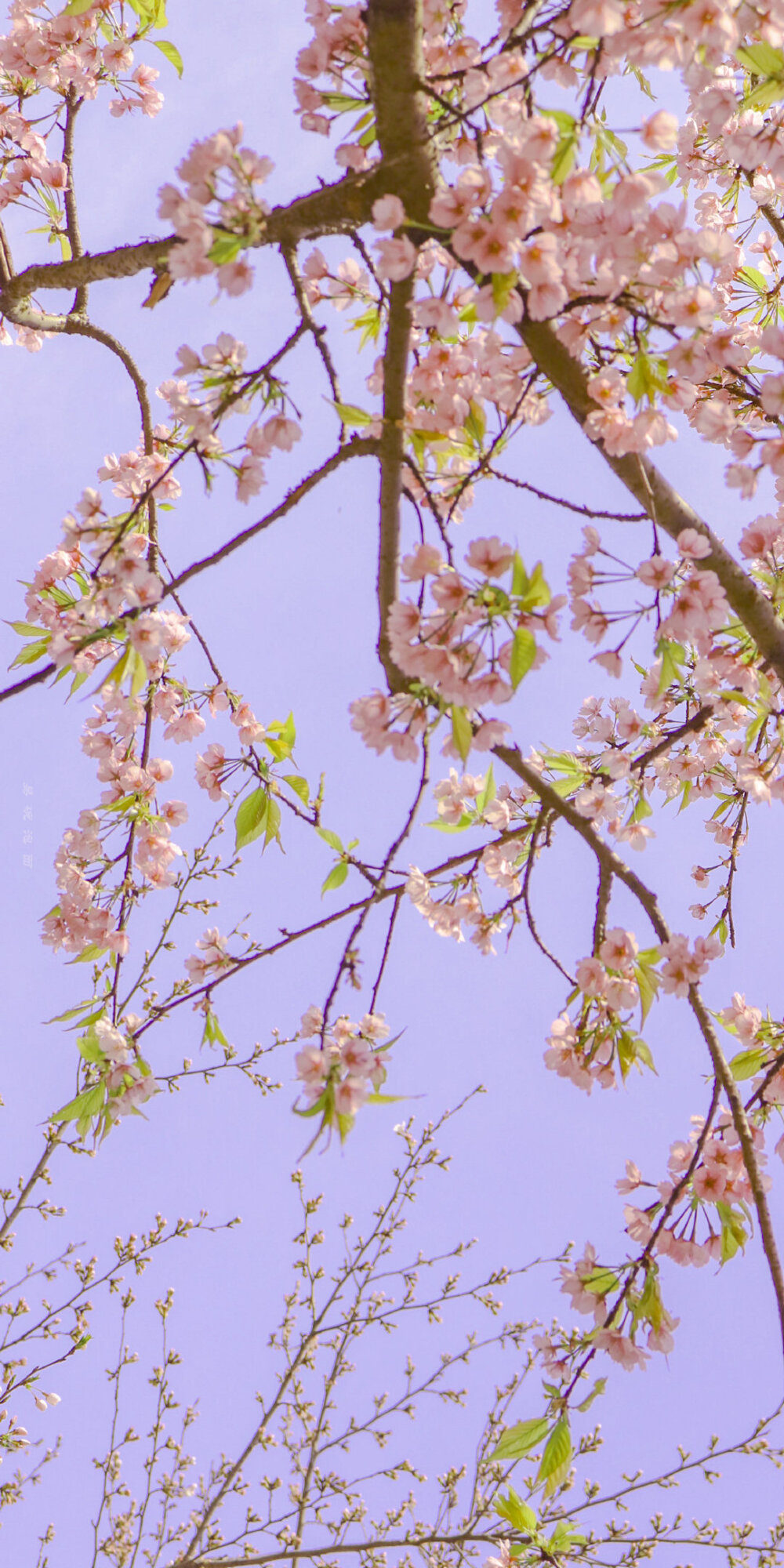 風(fēng)景壁紙