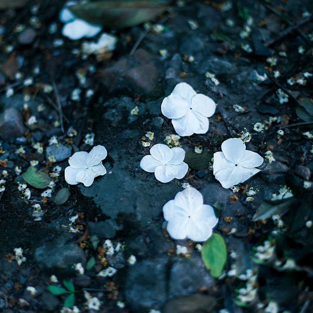 “像是你的谁，又不是你的谁，但你的苦我都默默陪，不需要被回馈”
©梁木辛