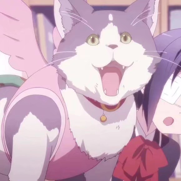 二转注明dt许恩