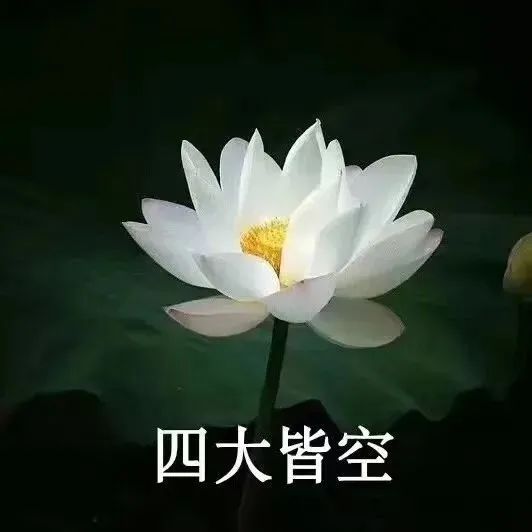 莲花头像