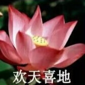 莲花头像